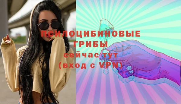 марки lsd Абаза